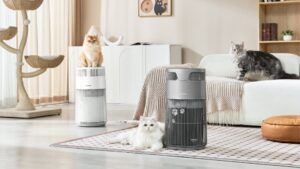 WiseSky Air Purifier: A New Era of Clean Air